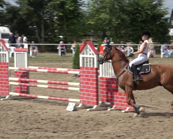 Reitturnier Volkmarode 2022