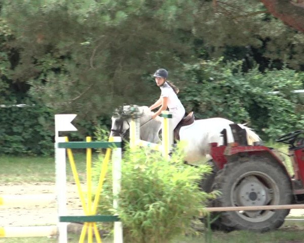 Reitturnier Volkmarode 2022