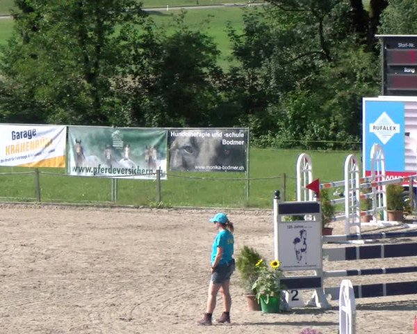 Reitturnier Gossau 2022