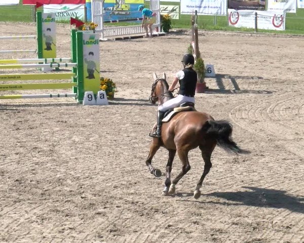 Reitturnier Gossau 2022