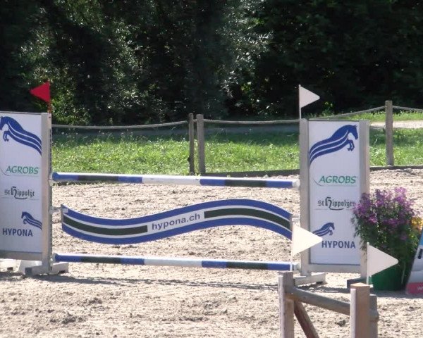 Reitturnier Gossau 2022