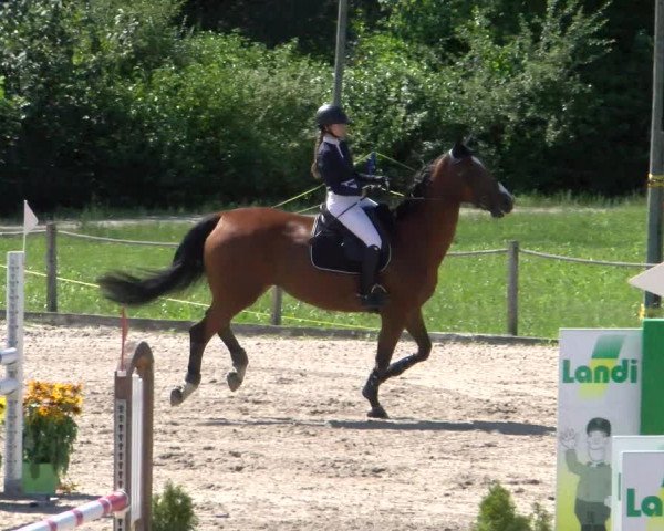 Reitturnier Gossau 2022