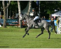broodmare Celano's Girl (Westphalian, 2005, from Celano)