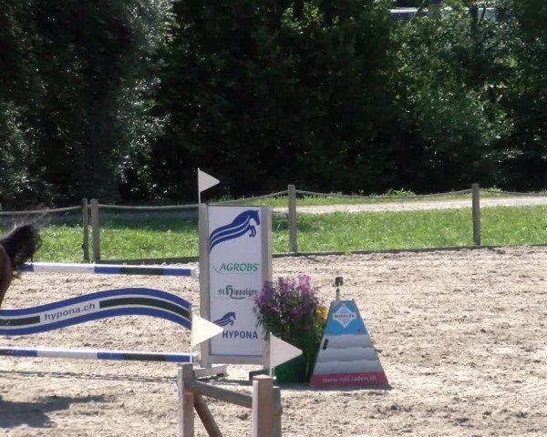 Reitturnier Gossau 2022