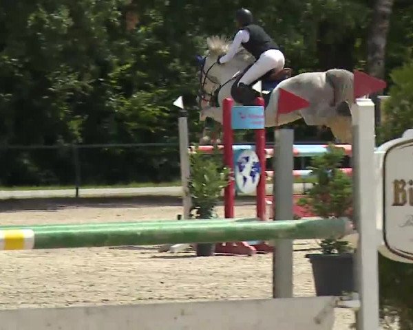 Reitturnier Rot am See- Musdorf 2022
