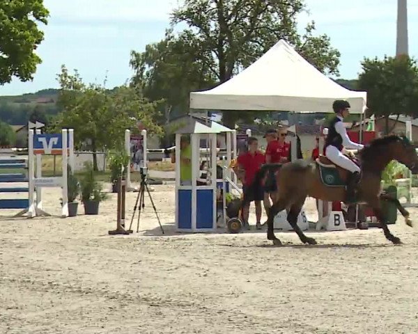 Reitturnier Rot am See- Musdorf 2022