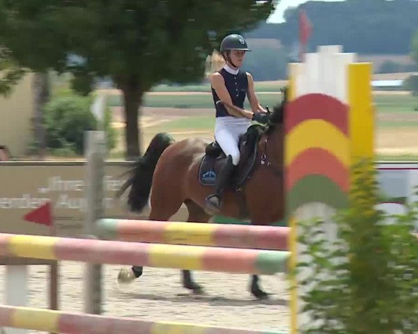 Reitturnier Rot am See- Musdorf 2022