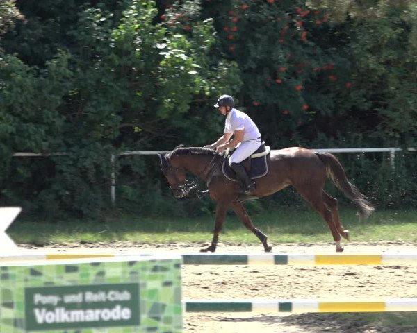 Reitturnier Volkmarode 2022