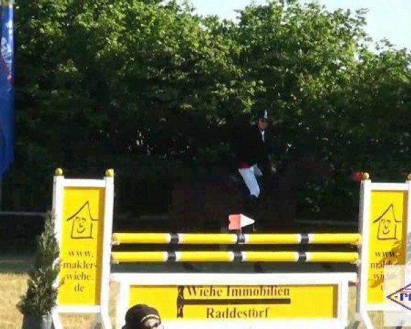 jumper Conchita M (Hanoverian, 1996, from Carbid 3)