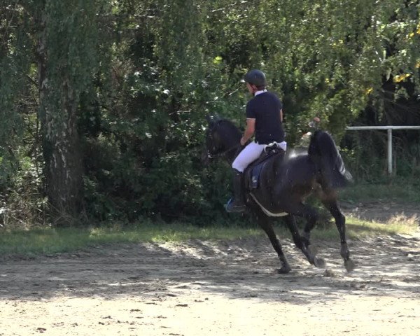 Reitturnier Volkmarode 2022