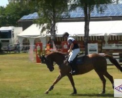jumper Farah Diba R 2 (Hanoverian, 2006, from For Edition)