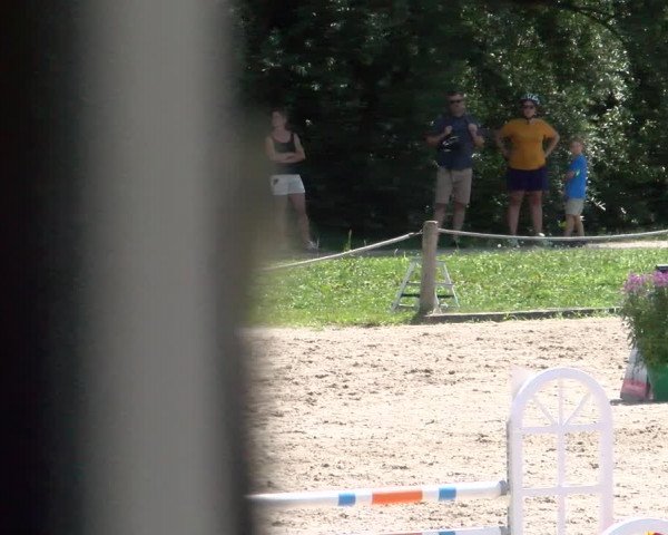 Reitturnier Gossau 2022