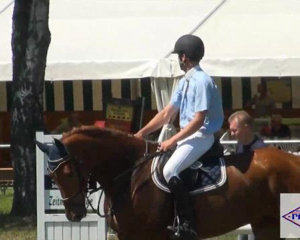 jumper Insider 57 (Hanoverian, 2007, from Iberio)
