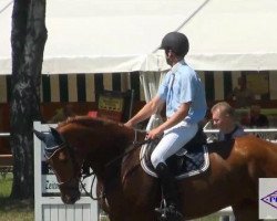 jumper Insider 57 (Hanoverian, 2007, from Iberio)