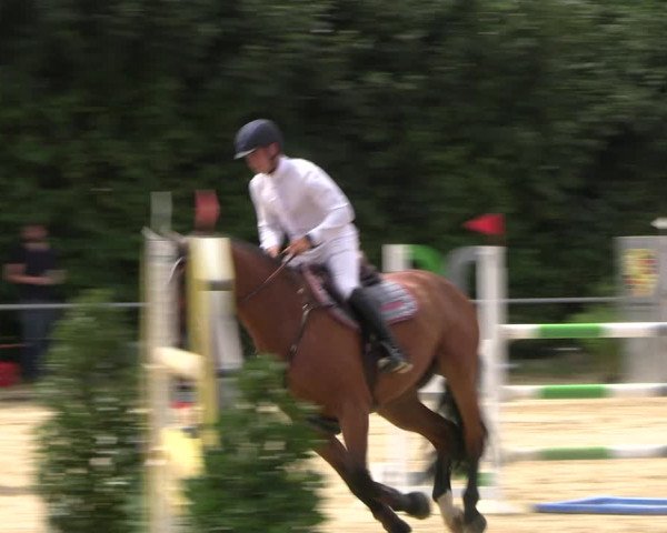Reitturnier Panrod 2022