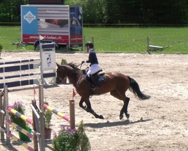 Reitturnier Gossau 2022