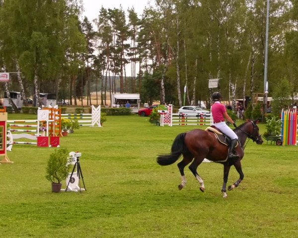 Reitturnier Etingen 2022