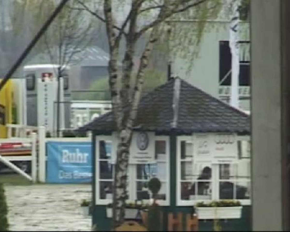 Cavallo da salto L.b. Lilas de La Chaise (Selle Français, 1999, di Dandy du Plape)
