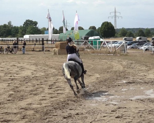 Reitturnier Volkmarode 2022