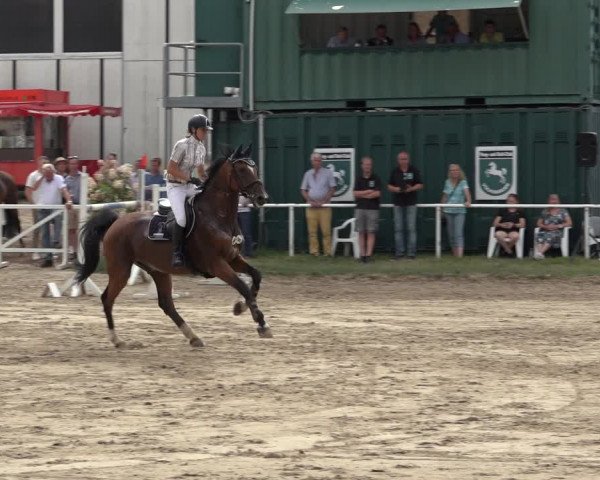 Reitturnier Volkmarode 2022