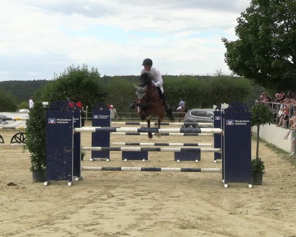 Reitturnier Panrod 2022