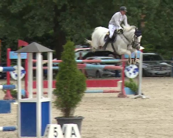 Reitturnier Rot am See- Musdorf 2022