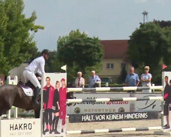 Reitturnier Rot am See- Musdorf 2022