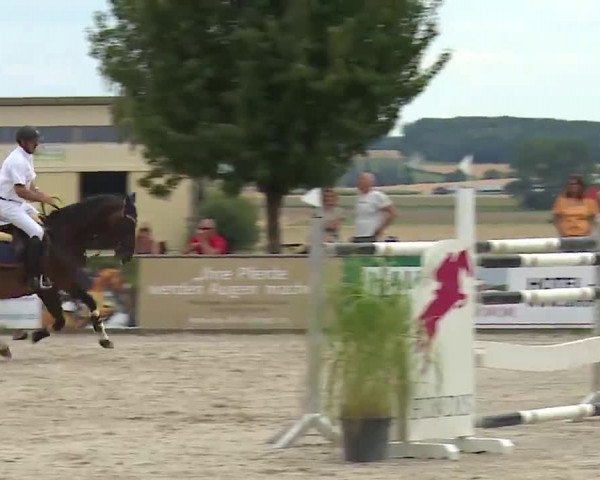 Reitturnier Rot am See- Musdorf 2022
