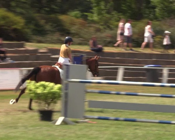 Reitturnier Baschütz bei Bautzen 2022
