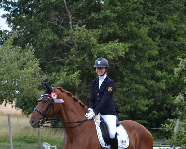 dressage horse For Fun 54 (Hanoverian, 2014, from Tannenhof's Fahrenheit)