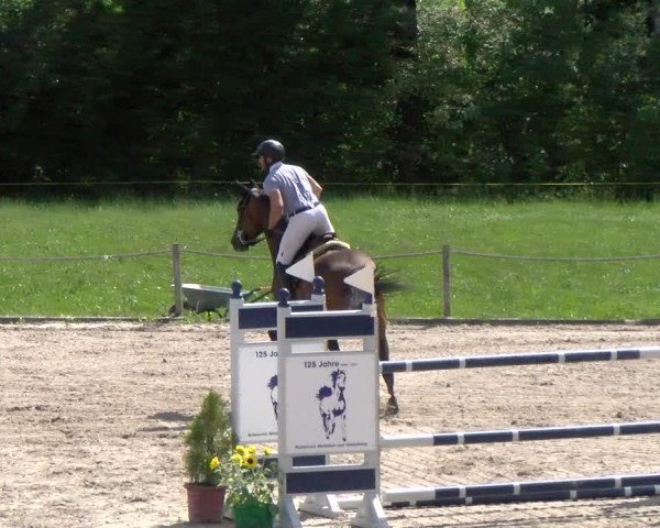 Reitturnier Gossau 2022