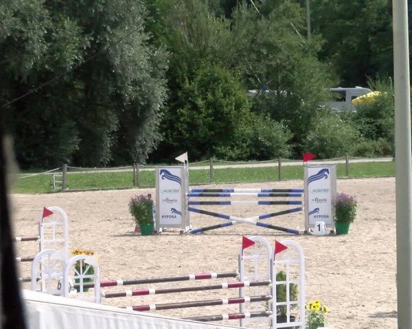 Reitturnier Gossau 2022