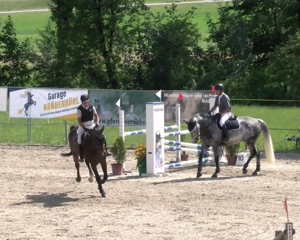 Reitturnier Gossau 2022