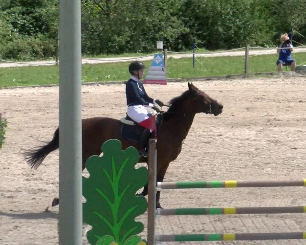 Reitturnier Gossau 2022