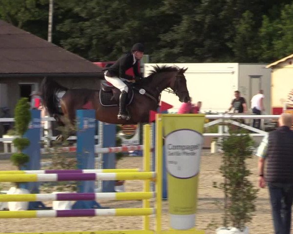 Reitturnier Ladelunder Springtage 2022