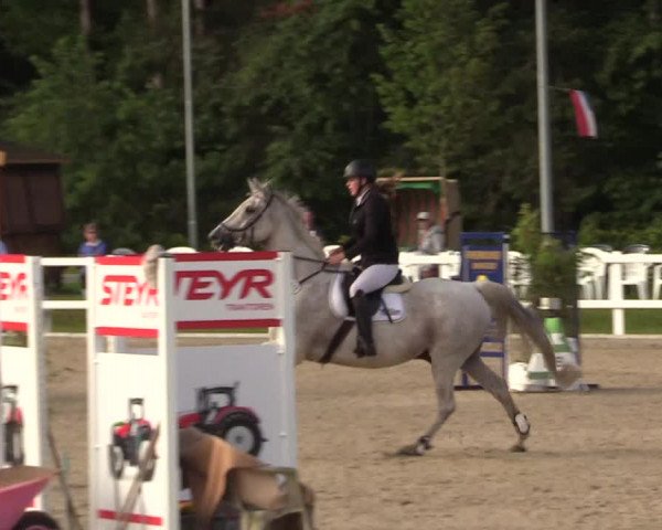 Reitturnier Ladelunder Springtage 2022