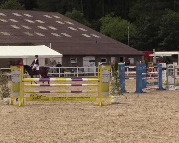 Reitturnier Ladelunder Springtage 2022