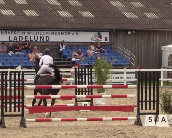 Reitturnier Ladelunder Springtage 2022