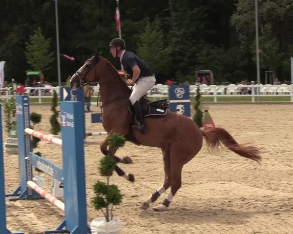Reitturnier Ladelunder Springtage 2022