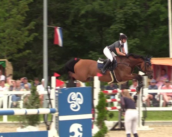 Reitturnier Ladelunder Springtage 2022