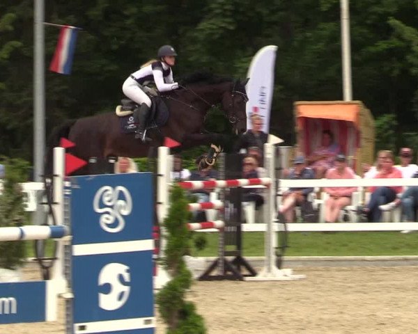 Reitturnier Ladelunder Springtage 2022