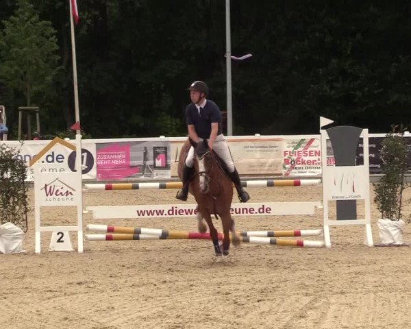 Reitturnier Ladelunder Springtage 2022