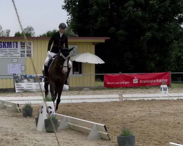 Reitturnier Biberach/Riß 2022