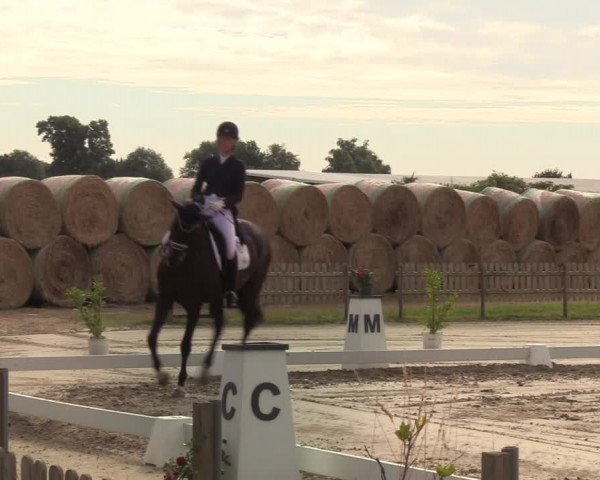 Reitturnier Schülp / Rendsburg 2022