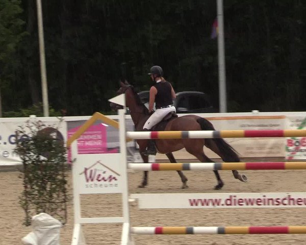 Reitturnier Ladelunder Springtage 2022