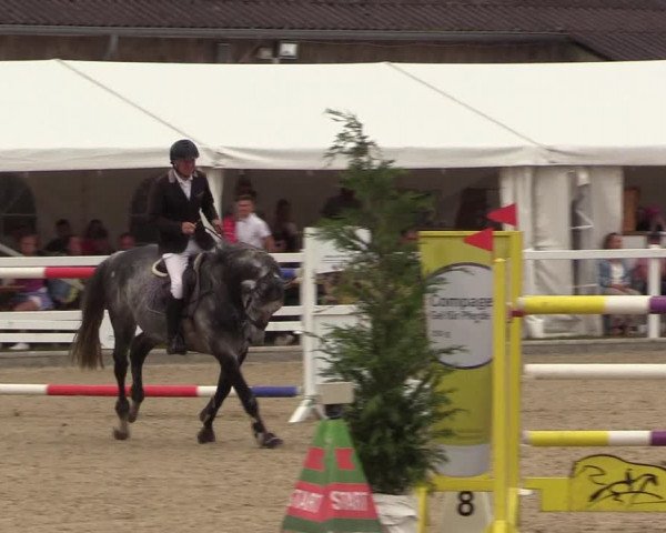 Reitturnier Ladelunder Springtage 2022