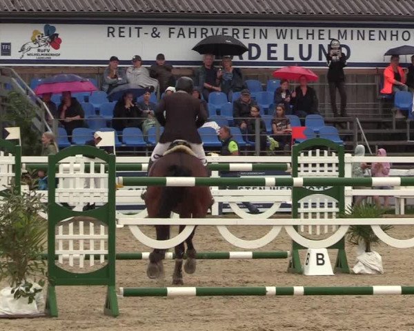Reitturnier Ladelunder Springtage 2022