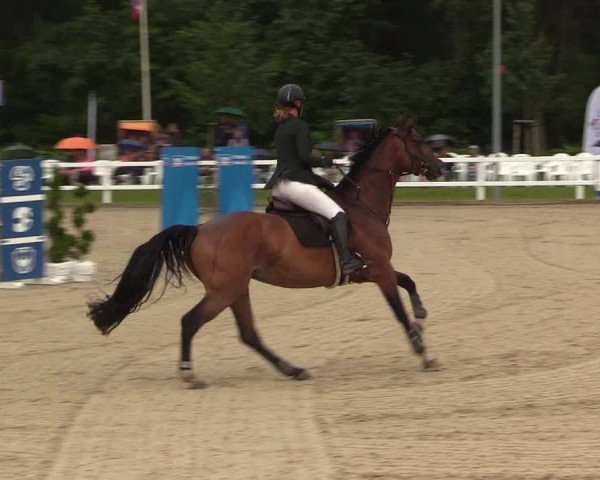 Reitturnier Ladelunder Springtage 2022