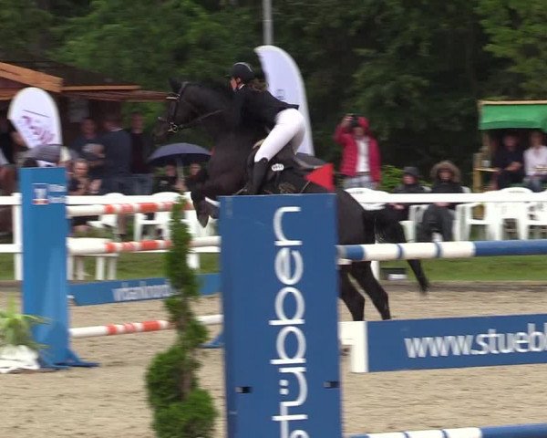 Reitturnier Ladelunder Springtage 2022