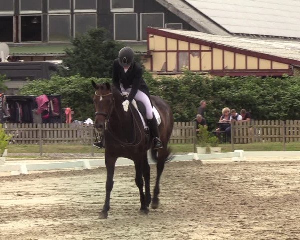 Reitturnier Schülp / Rendsburg 2022